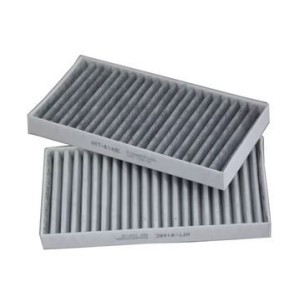 FILTRO POLEN DOBLE GREAT WALL WINGLE 7